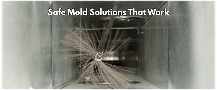 Air Duct Mold Removal in Newnan GA