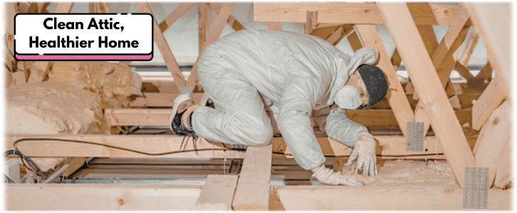 Attic Cleaning Newnan GA