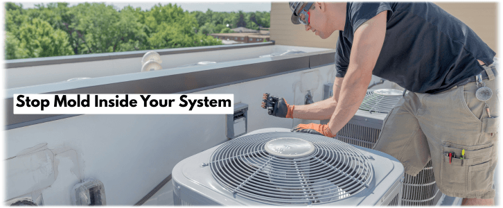 HVAC Mold Removal Newnan GA